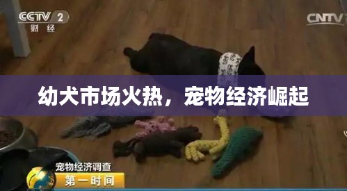 博古通今 第3页
