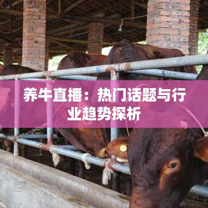 养牛直播：热门话题与行业趋势探析
