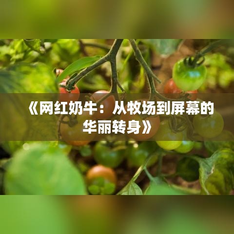 《网红奶牛：从牧场到屏幕的华丽转身》