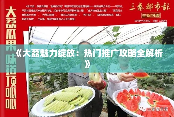 《大荔魅力绽放：热门推广攻略全解析》