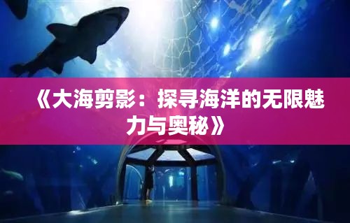 《大海剪影：探寻海洋的无限魅力与奥秘》