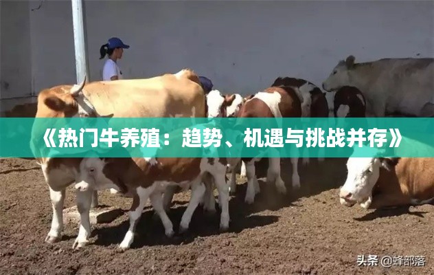 《热门牛养殖：趋势、机遇与挑战并存》