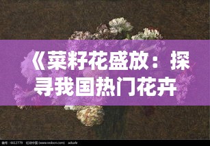 《菜籽花盛放：探寻我国热门花卉的魅力与价值》