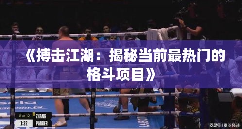 《搏击江湖：揭秘当前最热门的格斗项目》