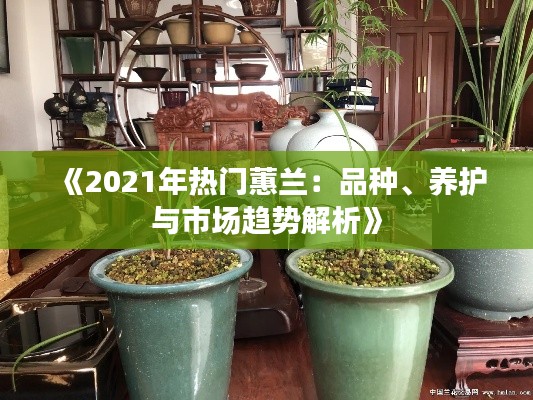 气宇轩昂 第3页
