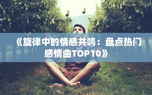 《旋律中的情感共鸣：盘点热门感情曲TOP10》