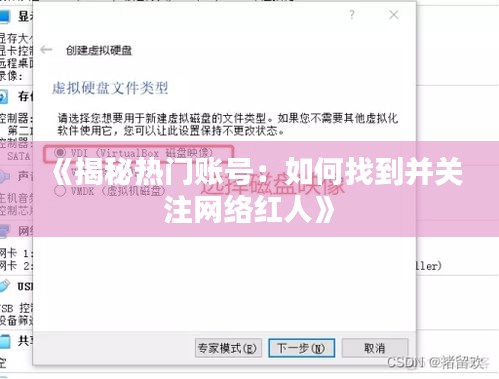 《揭秘热门账号：如何找到并关注网络红人》