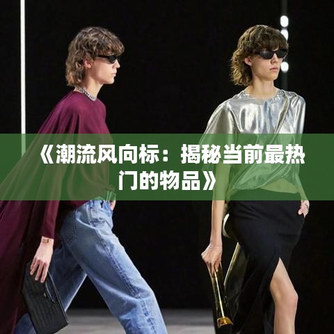 《潮流风向标：揭秘当前最热门的物品》