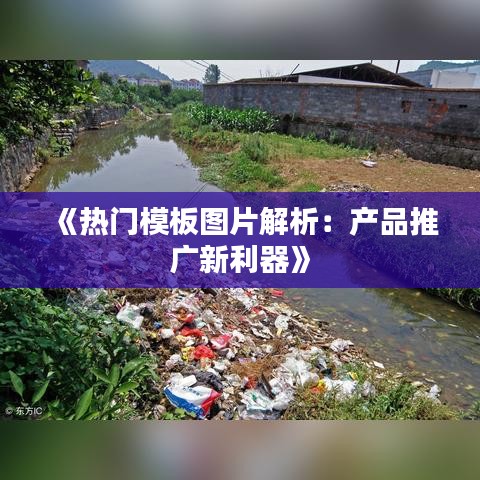 《热门模板图片解析：产品推广新利器》