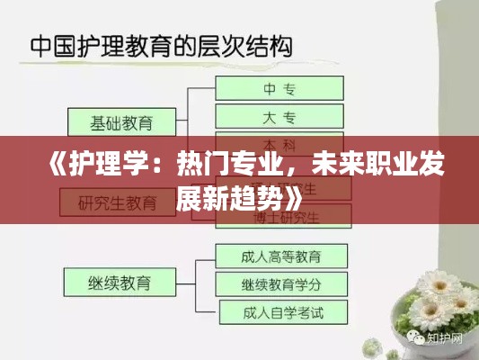 《护理学：热门专业，未来职业发展新趋势》