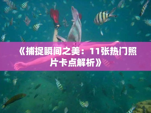 《捕捉瞬间之美：11张热门照片卡点解析》
