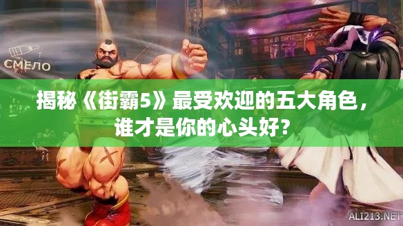 揭秘《街霸5》最受欢迎的五大角色，谁才是你的心头好？