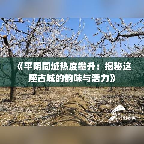 《平阴同城热度攀升：揭秘这座古城的韵味与活力》