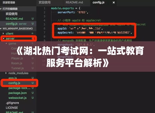 《湖北热门考试网：一站式教育服务平台解析》