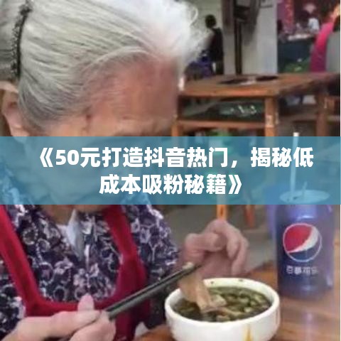 《50元打造抖音热门，揭秘低成本吸粉秘籍》