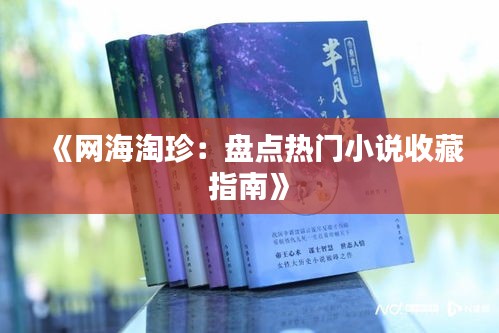 《网海淘珍：盘点热门小说收藏指南》