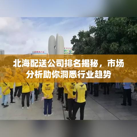 北海配送公司排名揭秘，市场分析助你洞悉行业趋势