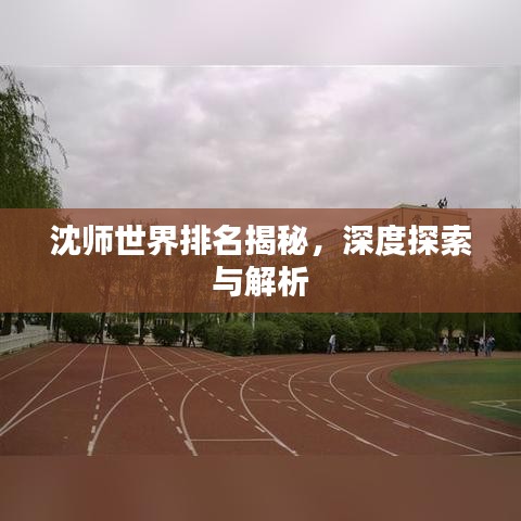 沈师世界排名揭秘，深度探索与解析