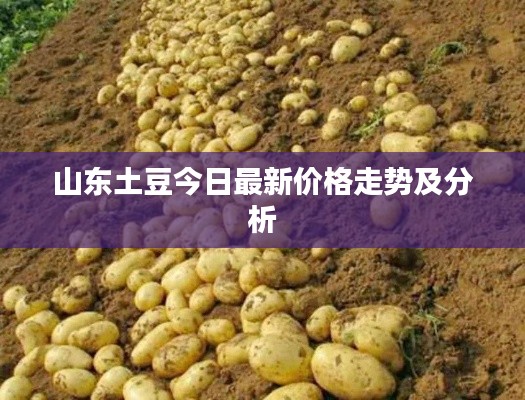 莺声燕语 第3页