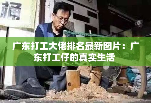 坌鸟先飞 第3页