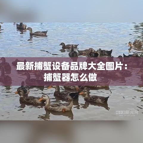 最新捕蟹设备品牌大全图片：捕蟹器怎么做 