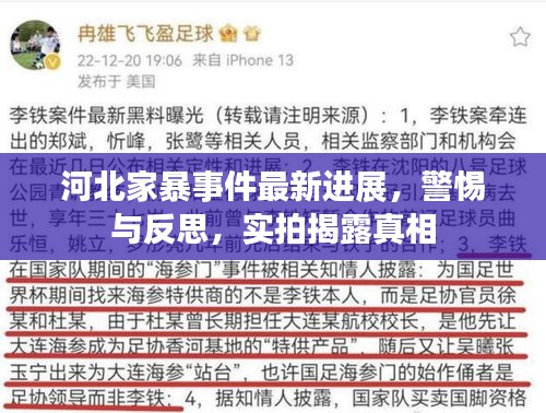 河北家暴事件最新进展，警惕与反思，实拍揭露真相