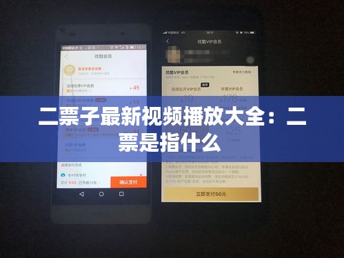 二票子最新视频播放大全：二票是指什么 