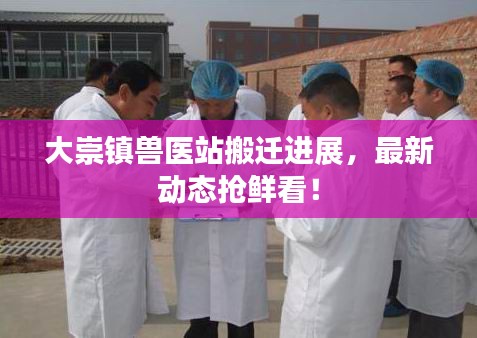 不飞则已 第2页