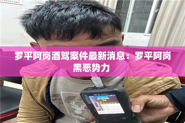 罗平阿岗酒驾案件最新消息：罗平阿岗黑恶势力 