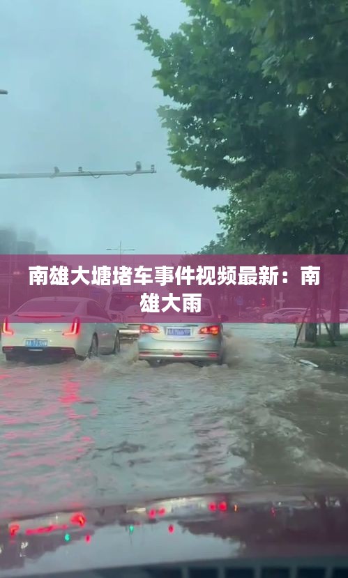 南雄大塘堵车事件视频最新：南雄大雨 