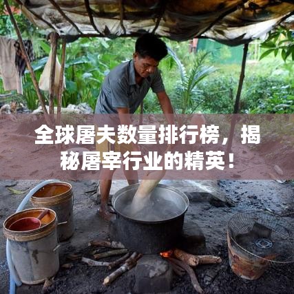 全球屠夫数量排行榜，揭秘屠宰行业的精英！