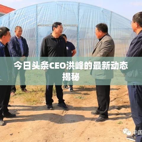 今日头条CEO洪峰的最新动态揭秘