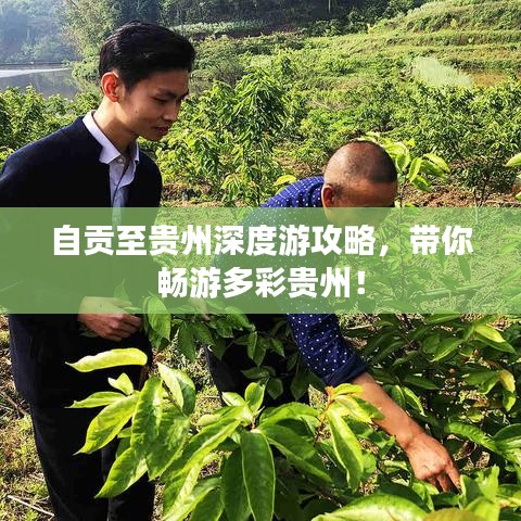 自贡至贵州深度游攻略，带你畅游多彩贵州！