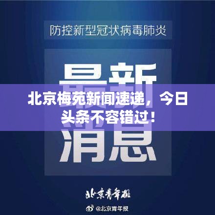 北京梅苑新闻速递，今日头条不容错过！