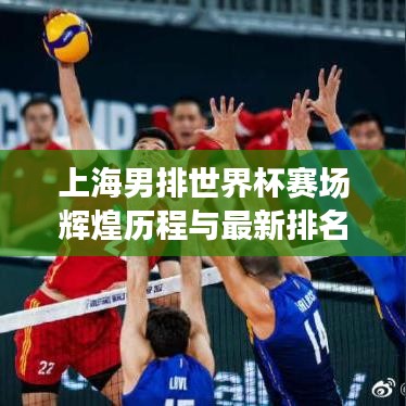 上海男排世界杯赛场辉煌历程与最新排名揭晓