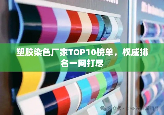塑胶染色厂家TOP10榜单，权威排名一网打尽
