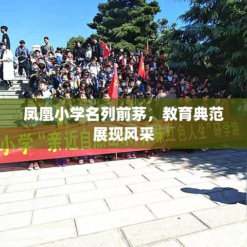 凤凰小学名列前茅，教育典范展现风采