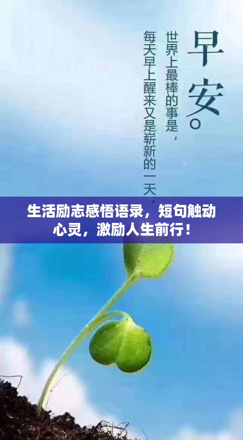 生活励志感悟语录，短句触动心灵，激励人生前行！