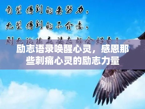 励志语录唤醒心灵，感恩那些刺痛心灵的励志力量