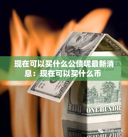 现在可以买什么公债呢最新消息：现在可以买什么币 