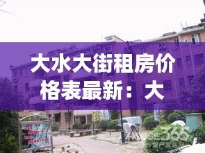 大水大街租房价格表最新：大水新园商业街综合批发市场 
