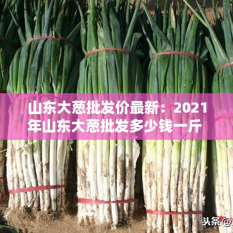 删华就素 第2页