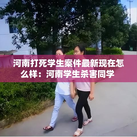 河南打死学生案件最新现在怎么样：河南学生杀害同学 
