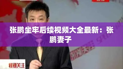 张鹏坐牢后续视频大全最新：张鹏妻子 
