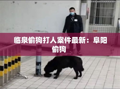 临泉偷狗打人案件最新：阜阳偷狗 