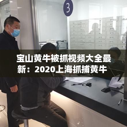 宝山黄牛被抓视频大全最新：2020上海抓捕黄牛 