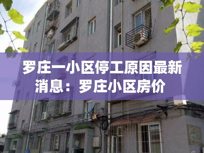 罗庄一小区停工原因最新消息：罗庄小区房价 
