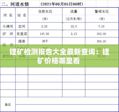 锂矿检测报告大全最新查询：锂矿价格哪里看 