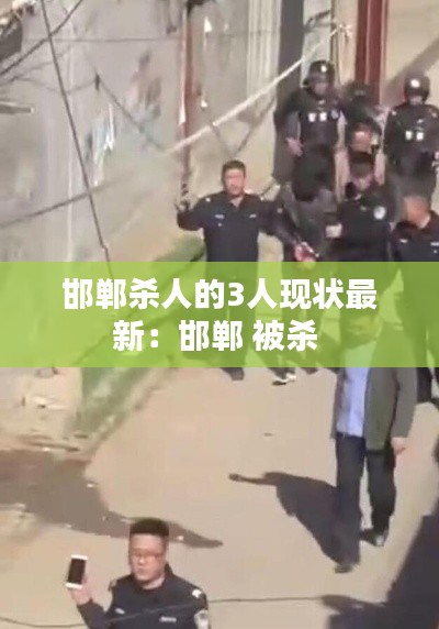 邯郸杀人的3人现状最新：邯郸 被杀 