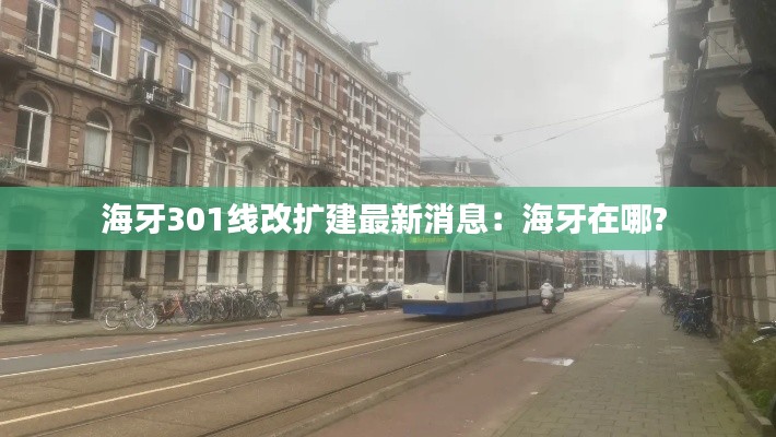海牙301线改扩建最新消息：海牙在哪? 